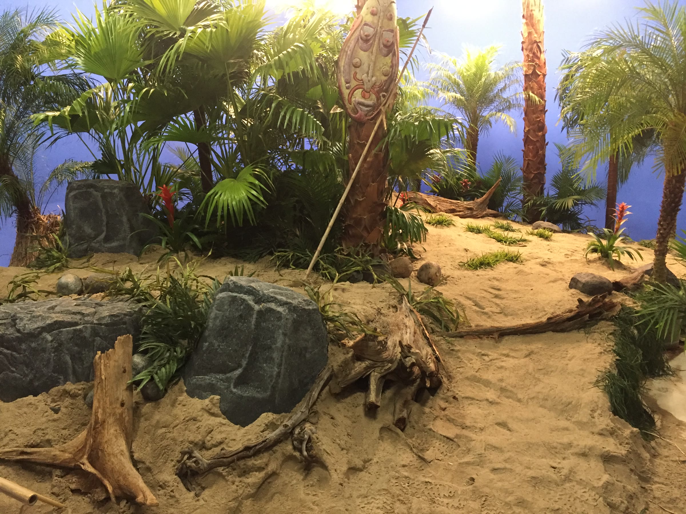 The island from the side: the dune rising behind grey rock forms and driftwood, palms of several species layered front to back, a hot light behind the blue reading as sun.