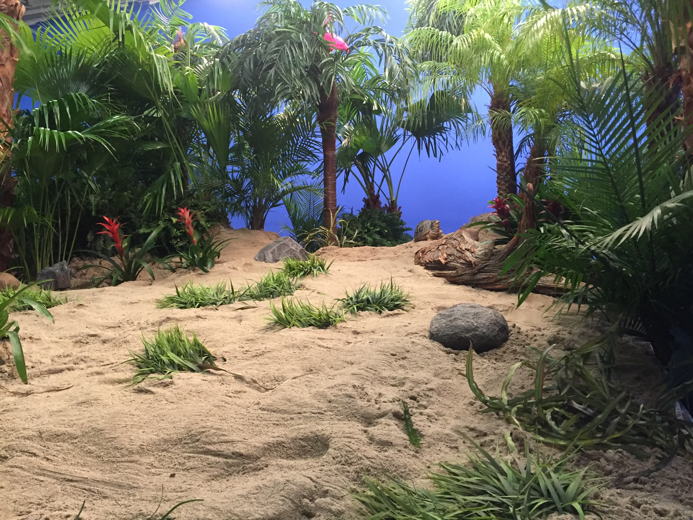 A wider view of the dressed island with a pink flamingo ornament tucked among the palms, tufts of grass planted through the sand, and the studio ceiling structure just visible at the top left.